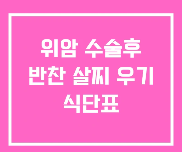 위암 수술후 반찬 살찌 우기 식단표