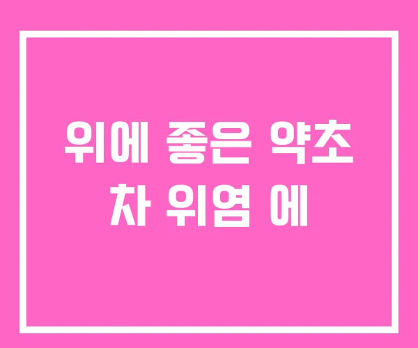 위에 좋은 약초 차 위염 에