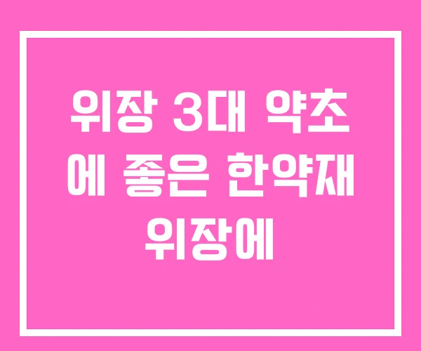 위장 3대 약초 에 좋은 한약재 위장에