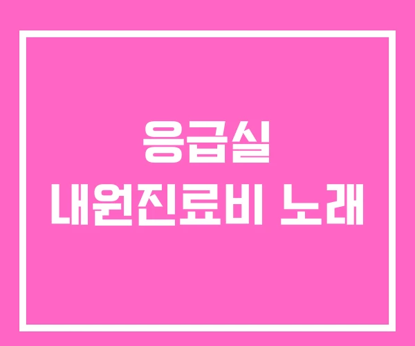 응급실 내원진료비 노래