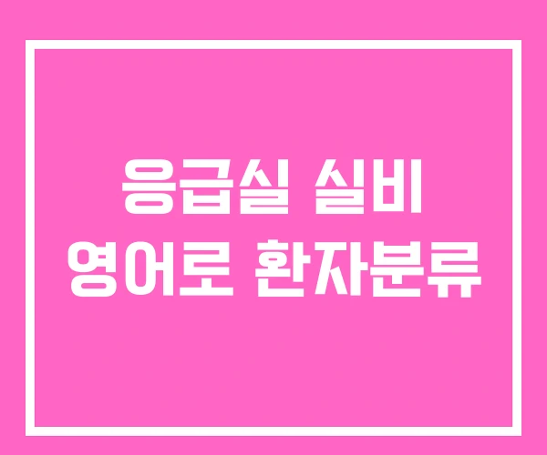 응급실 실비 영어로 환자분류