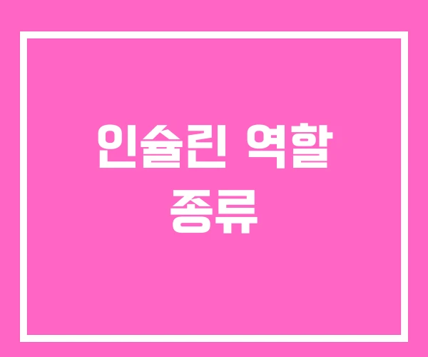 인슐린 역할 종류