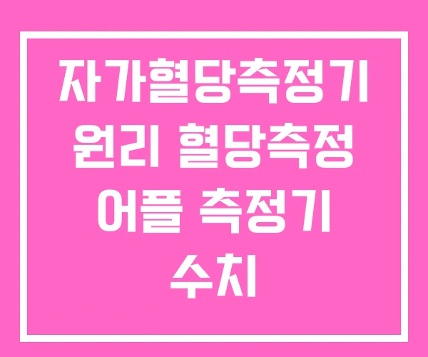 자가혈당측정기 원리 혈당측정 어플 측정기 수치