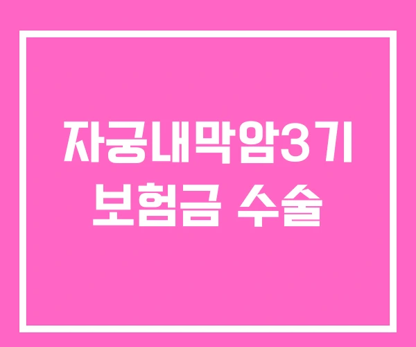 자궁내막암3기 보험금 수술