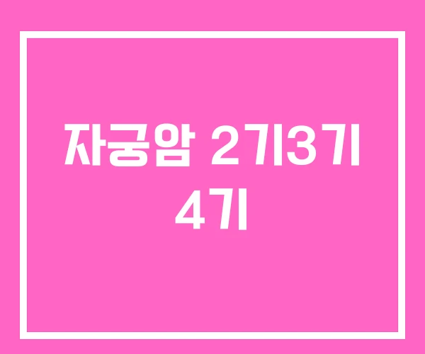 자궁암 2기3기 4기