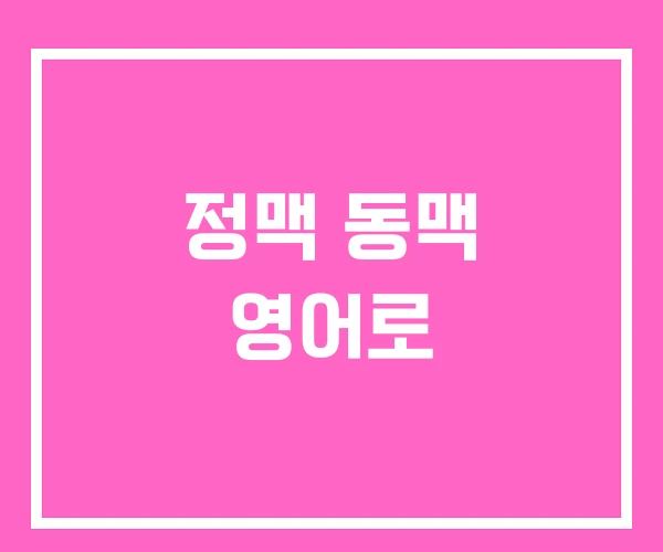 정맥 동맥 영어로