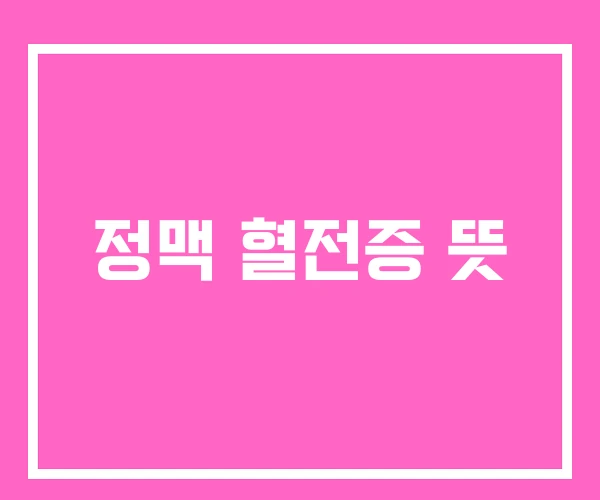 정맥 혈전증 뜻