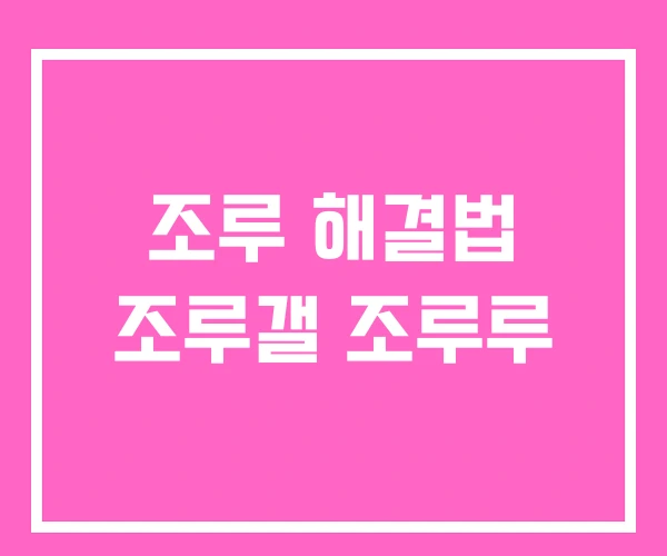 조루 해결법 조루갤 조루루
