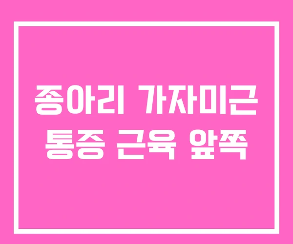 종아리 가자미근 통증 근육 앞쪽