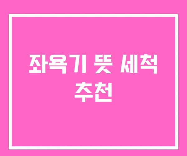 좌욕기 뜻 세척 추천
