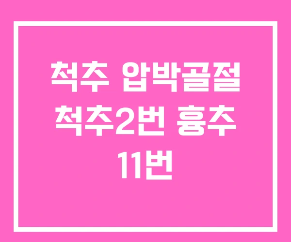 척추 압박골절 척추2번 흉추 11번