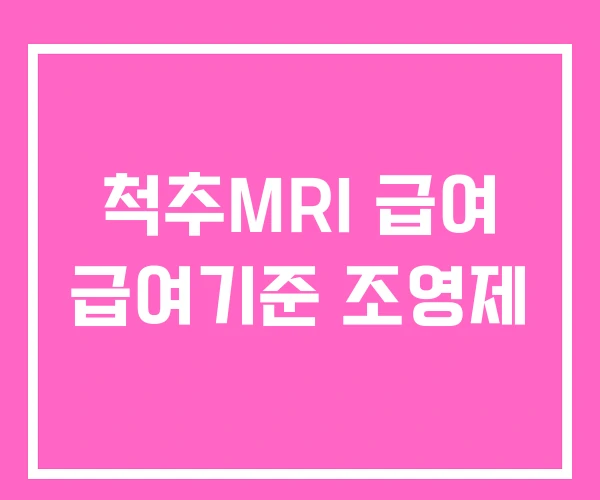 척추MRI 급여 급여기준 조영제