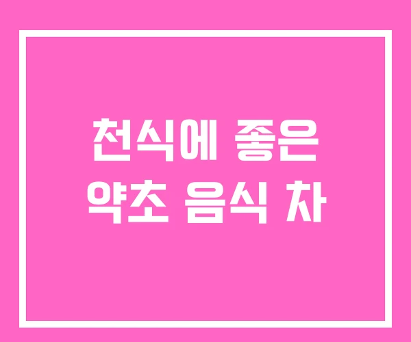 천식에 좋은 약초 음식 차