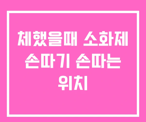 체했을때 소화제 손따기 손따는 위치