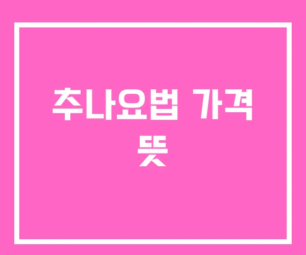 추나요법 가격 뜻