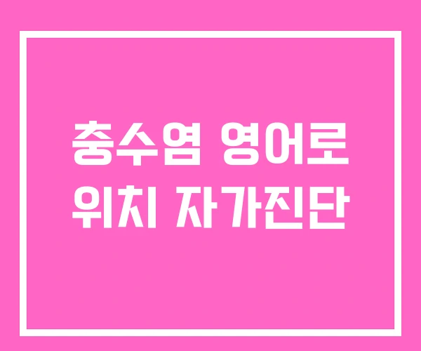 충수염 영어로 위치 자가진단