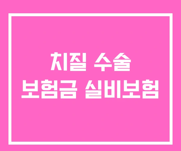 치질 수술 보험금 실비보험