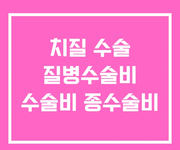 치질 수술 질병수술비 수술비 종수술비