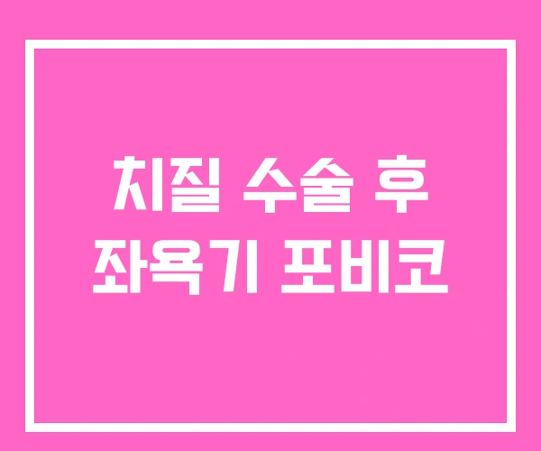 치질 수술 후 좌욕기 포비코