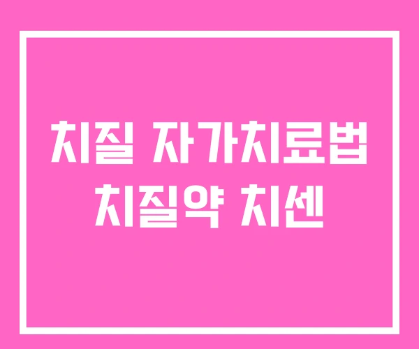 치질 자가치료법 치질약 치센