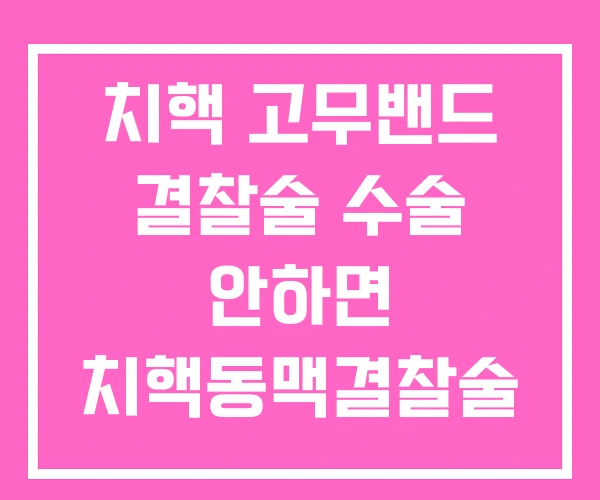 치핵 고무밴드 결찰술 수술 안하면 치핵동맥결찰술