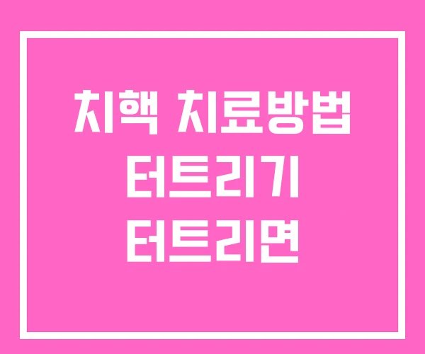 치핵 치료방법 터트리기 터트리면