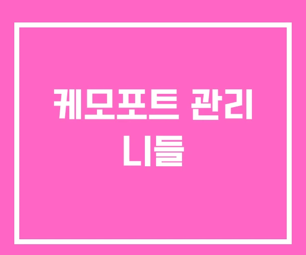 케모포트 관리 니들