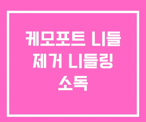 케모포트 니들 제거 니들링 소독