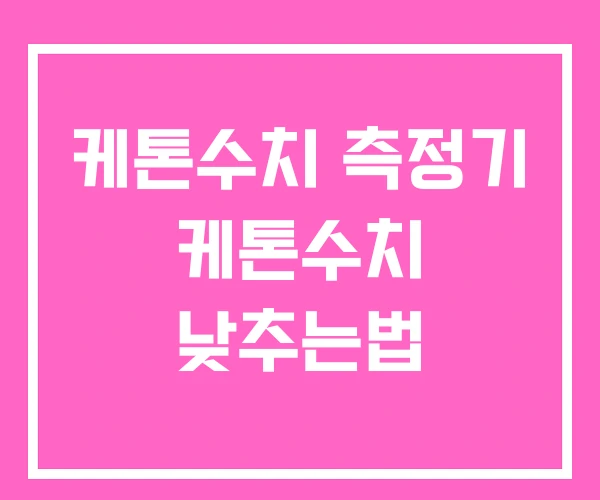 케톤수치 측정기 케톤수치 낮추는법