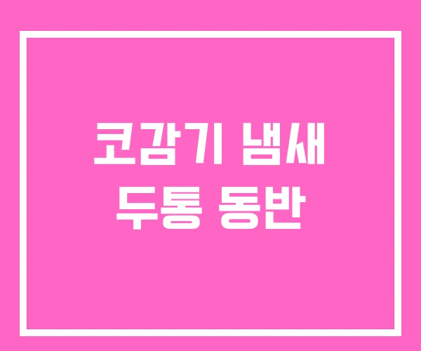 코감기 냄새 두통 동반