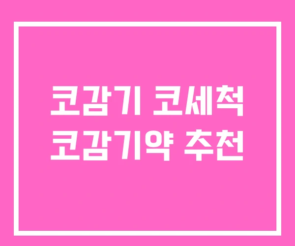 코감기 코세척 코감기약 추천