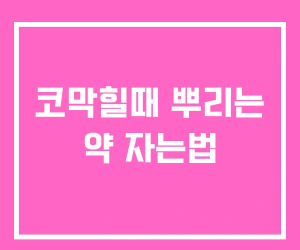 코막힐때 뿌리는 약 자는법