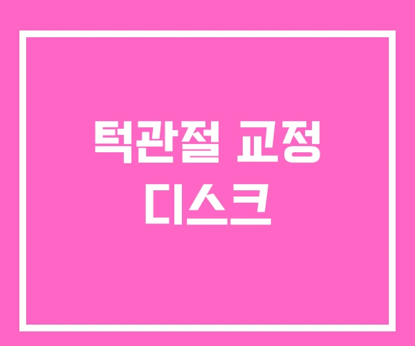 턱관절 교정 디스크