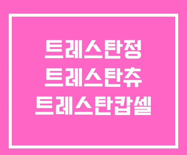 트레스탄정 트레스탄츄 트레스탄캅셀