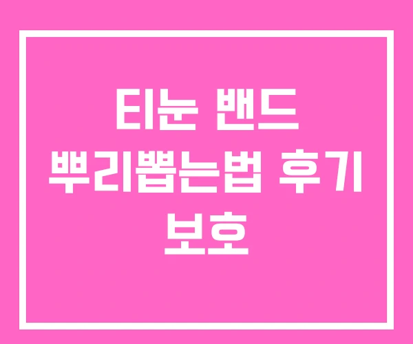 티눈 밴드 뿌리뽑는법 후기 보호