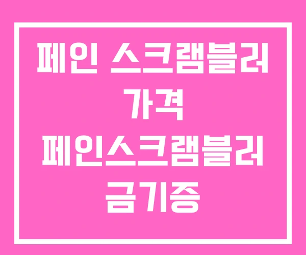 페인 스크램블러 가격 페인스크램블러 금기증 페인 스크램블러 가격 페인스크램블러 금기증