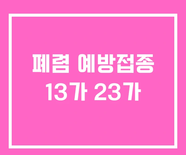 폐렴 예방접종 13가 23가