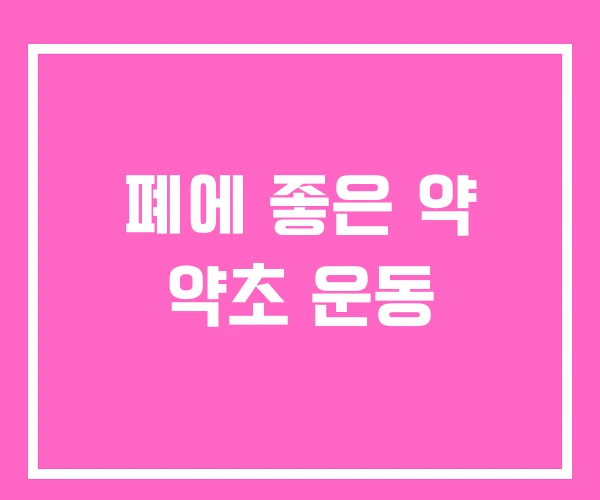 폐에 좋은 약 약초 운동 폐에 좋은 약 약초 운동