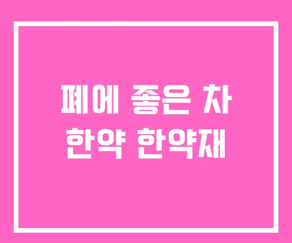 폐에 좋은 차 한약 한약재 폐에 좋은 차 한약 한약재