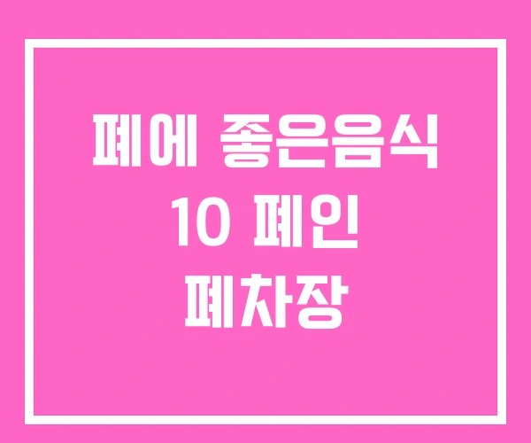 폐에 좋은음식 10 폐인 폐차장