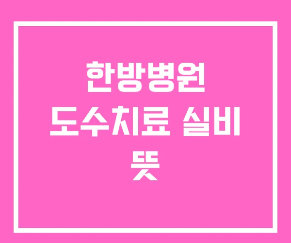 한방병원 도수치료 실비 뜻