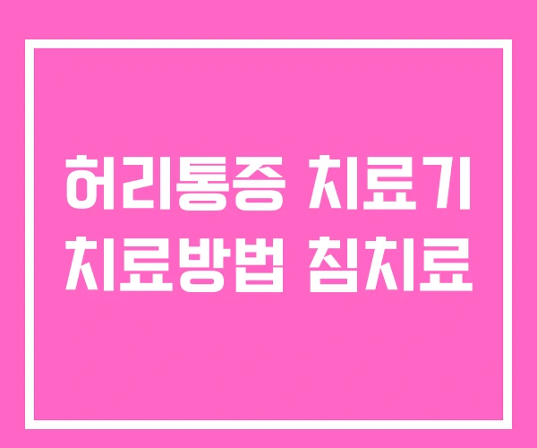 허리통증 치료기 치료방법 침치료