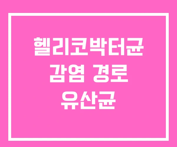 헬리코박터균 감염 경로 유산균 헬리코박터균 감염 경로 유산균