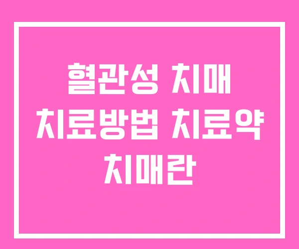 혈관성 치매 치료방법 치료약 치매란