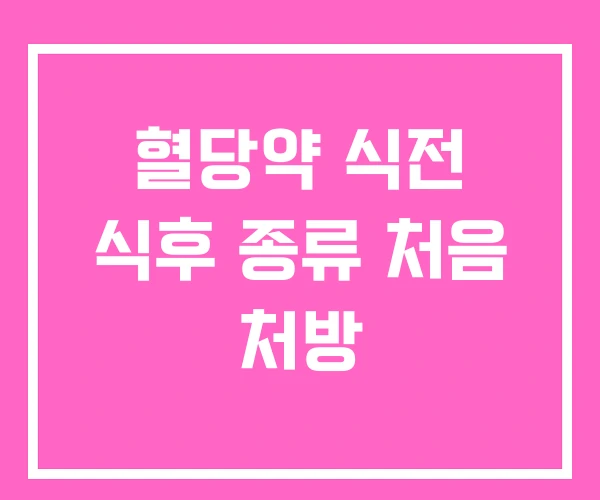 혈당약 식전 식후 종류 처음 처방