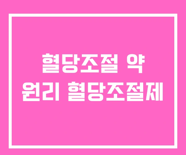 혈당조절 약 원리 혈당조절제 혈당조절 약 원리 혈당조절제