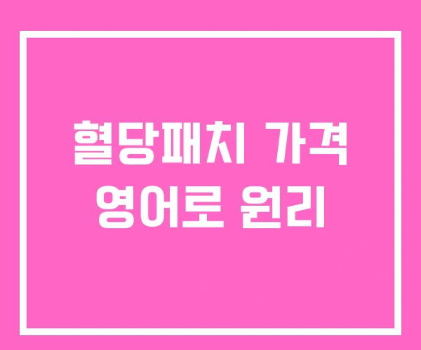혈당패치 가격 영어로 원리