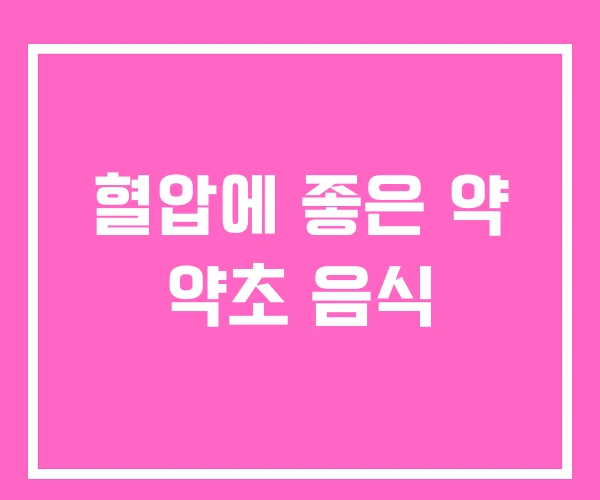 혈압에 좋은 약 약초 음식