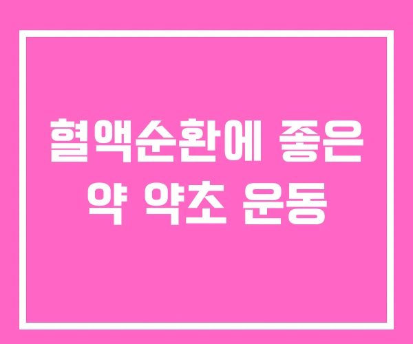 혈액순환에 좋은 약 약초 운동