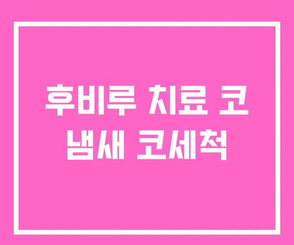 후비루 치료 코 냄새 코세척 후비루 치료 코 냄새 코세척